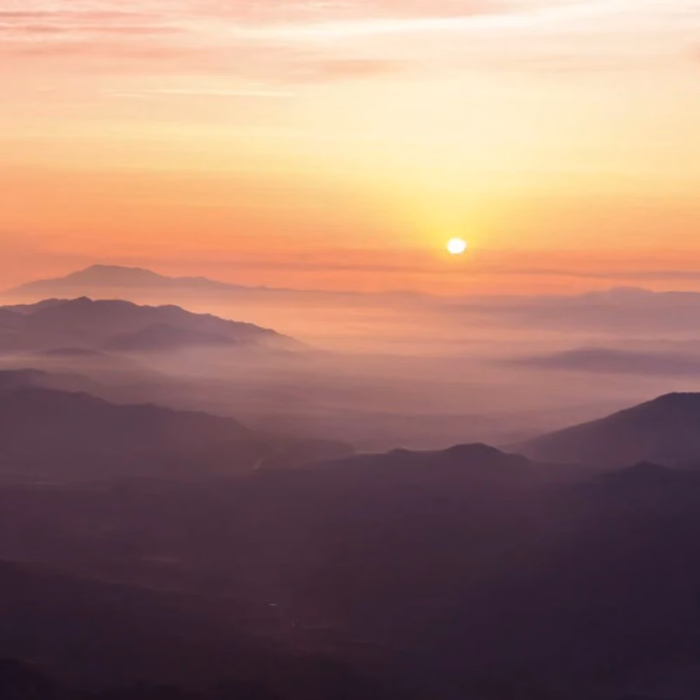 Дизайн Sunset Moment від Pitaka на фоні природи